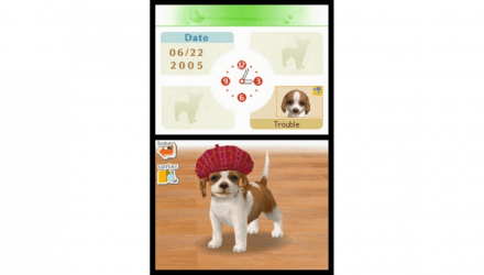 Игра Nintendo DS Nintendogs Lab & Friends Английская Версия Б/У - Retromagaz, image 1