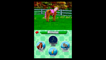 Игра Nintendo DS Pony Friends Английская Версия Б/У - Retromagaz, image 3