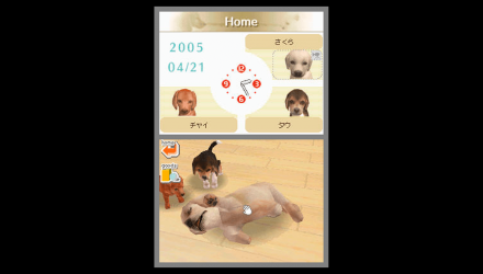 Игра Nintendo DS Nintendogs Chihuahua & Friends Английская Версия Б/У - Retromagaz, image 4