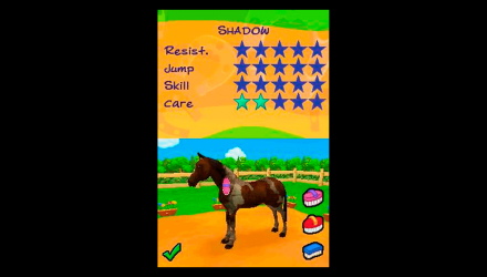 Гра Nintendo DS Petz: Horsez 2 Англійська Версія Б/У - Retromagaz, image 5