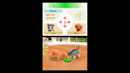 Игра Nintendo DS Nintendogs Chihuahua & Friends Английская Версия Б/У - Retromagaz, image 3