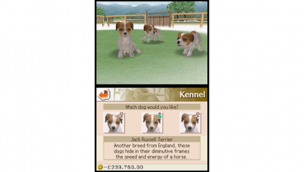 Игра Nintendo DS Nintendogs Lab & Friends Английская Версия Б/У - Retromagaz, image 2