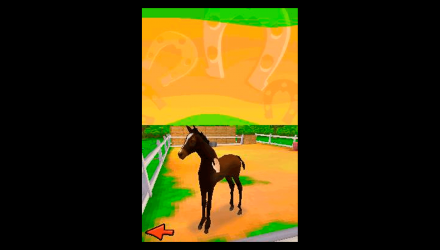 Гра Nintendo DS Petz: Horsez 2 Англійська Версія Б/У - Retromagaz, image 4