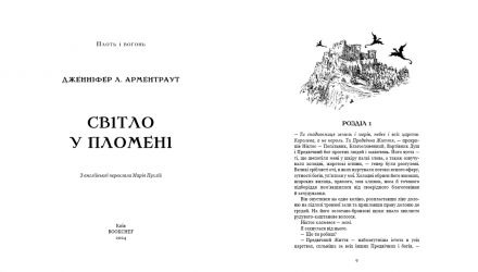 Книга Плоть і вогонь. Книга 2: Світло у пломені Дженніфер Л. Арментраут - Retromagaz, image 1