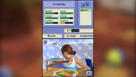 Игра Nintendo DS The Sims 2 Pets Английская Версия Б/У - Retromagaz, image 3