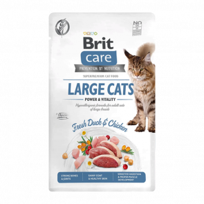 Сухой Корм для Кошек Brit Care Power & Vitality Курица и Утка 400g - Retromagaz