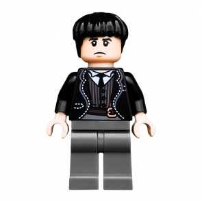 Фігурка Lego Harry Potter Credence Barebone Films colhp21 1 Б/У - Retromagaz